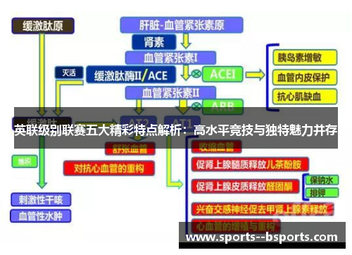 英联级别联赛五大精彩特点解析:高水平竞技与独特魅力并存 英联级别联赛五大精彩特点解析:高水平竞技与独特魅力并存