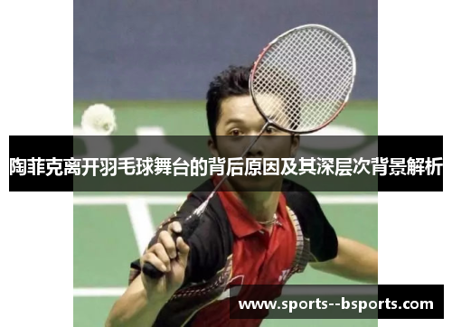 陶菲克离开羽毛球舞台的背后原因及其深层次背景解析