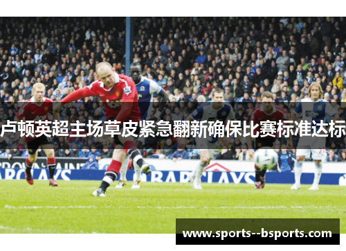 卢顿英超主场草皮紧急翻新确保比赛标准达标