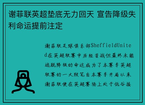 谢菲联英超垫底无力回天 宣告降级失利命运提前注定